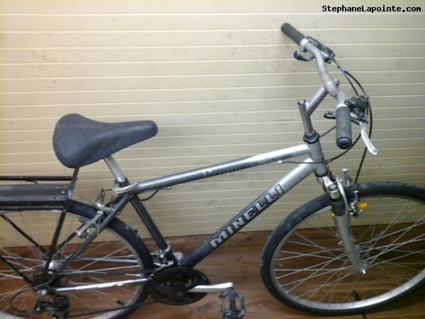 Vélo Minelli Promenade - StephaneLapointe.com