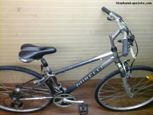Vélo Minelli Promenade - StephaneLapointe.com