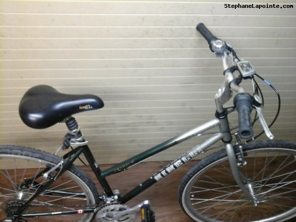 Vélo Minelli Mojave - StephaneLapointe.com