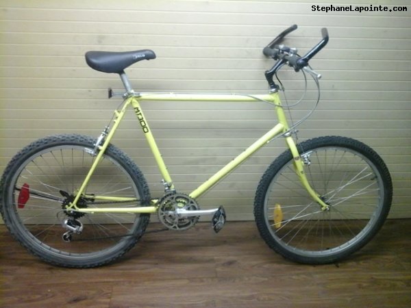 Vélo Mikado MT300 - StephaneLapointe.com