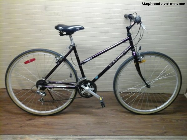 Vélo Raleigh Highlander GS - StephaneLapointe.com