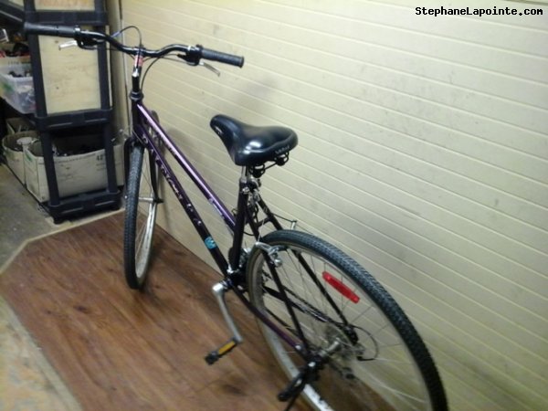 Vélo Raleigh Highlander GS - StephaneLapointe.com