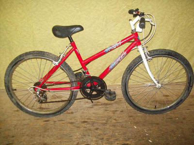 Vélo Venture Mountain Tour Roadrunner 12 - StephaneLapointe.com