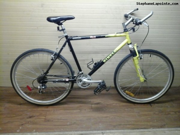 Vélo Minelli Glacier - StephaneLapointe.com
