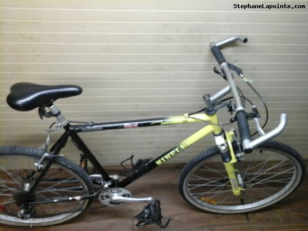 Vélo Minelli Glacier - StephaneLapointe.com