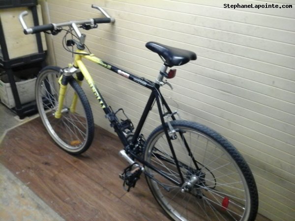 Vélo Minelli Glacier - StephaneLapointe.com