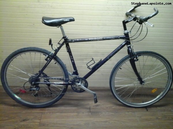 Vélo Miele Titan - StephaneLapointe.com