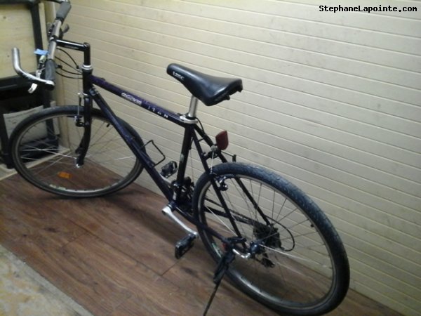 Vélo Miele Titan - StephaneLapointe.com