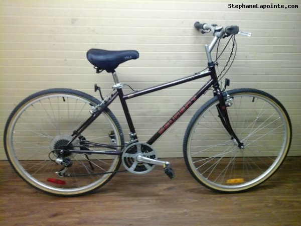 Vélo Peugeot Panorama - StephaneLapointe.com