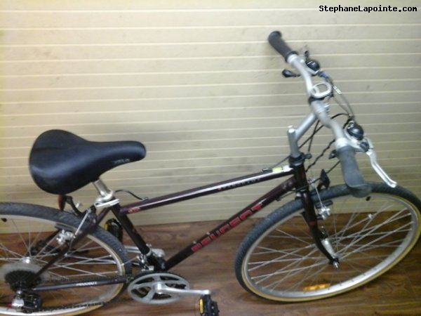 Vélo Peugeot Panorama - StephaneLapointe.com