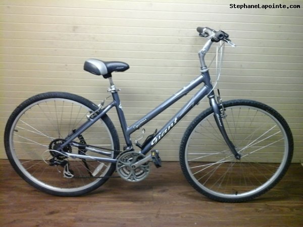 Vélo Giant Cypress - StephaneLapointe.com