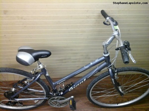 Vélo Giant Cypress - StephaneLapointe.com