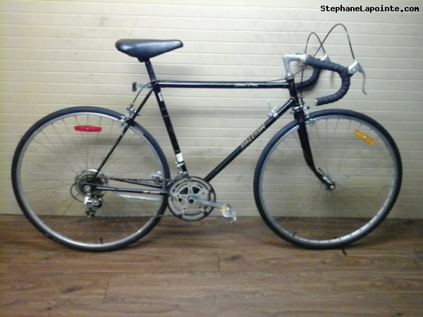Vélo Raleigh Grand Prix - StephaneLapointe.com