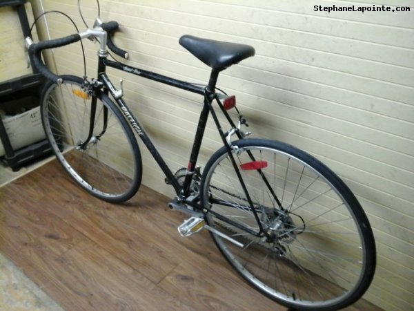 Vélo Raleigh Grand Prix - StephaneLapointe.com