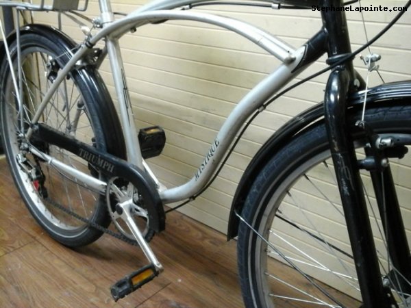 Vélo Triumph Mystique - StephaneLapointe.com