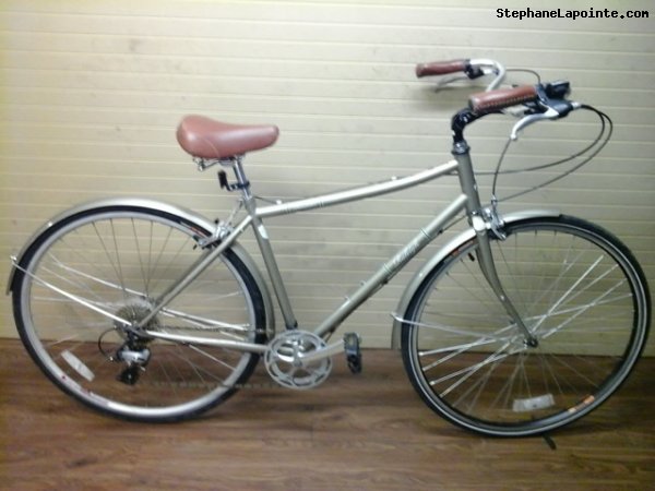 Vélo Raleigh Roadster - StephaneLapointe.com