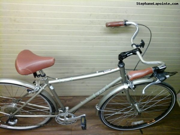 Vélo Raleigh Roadster - StephaneLapointe.com