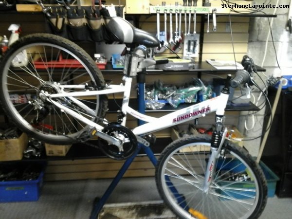 Vélo Raleigh Sundowner - StephaneLapointe.com