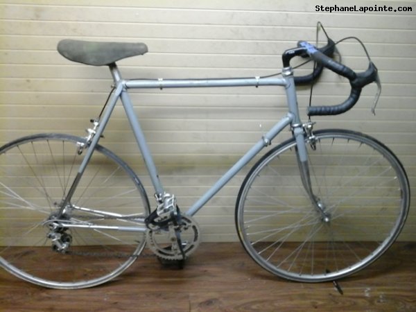 Vélo Raleigh Vintage Campagnolo - StephaneLapointe.com