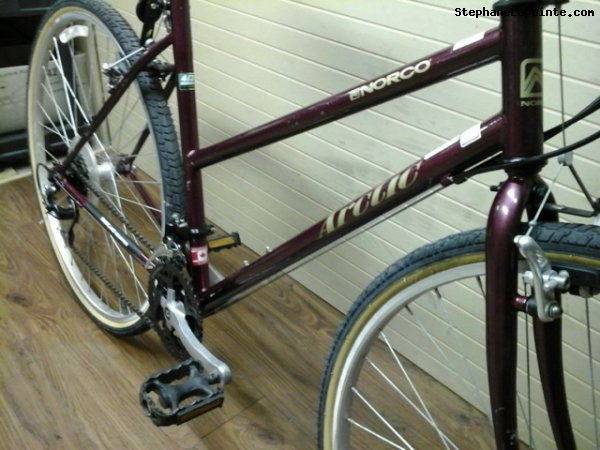 Vélo Norco Arctic - StephaneLapointe.com