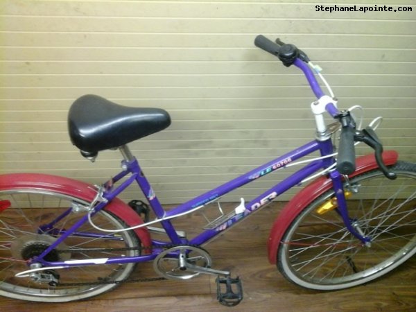 Vélo Leader LE 60706 - StephaneLapointe.com