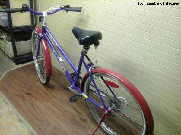 Vélo Leader LE 60706 - StephaneLapointe.com