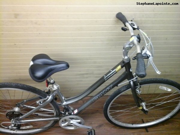 Vélo Giant Cypress - StephaneLapointe.com