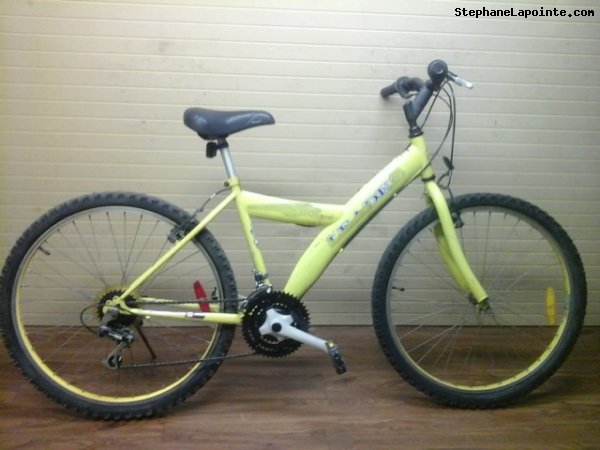 Vélo Leader  - StephaneLapointe.com
