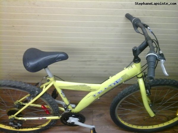 Vélo Leader  - StephaneLapointe.com