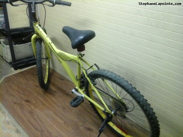 Vélo Leader  - StephaneLapointe.com