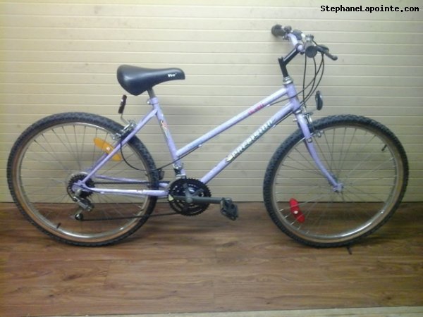 Vélo Precision PR6031 - StephaneLapointe.com