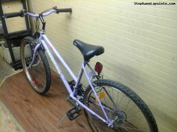 Vélo Precision PR6031 - StephaneLapointe.com