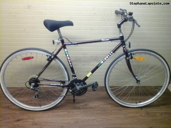 Vélo Minelli Promenade - StephaneLapointe.com