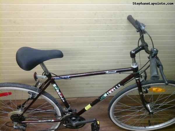 Vélo Minelli Promenade - StephaneLapointe.com