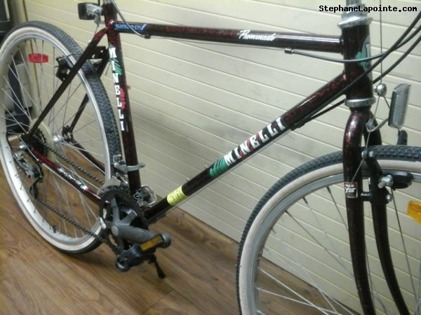Vélo Minelli Promenade - StephaneLapointe.com
