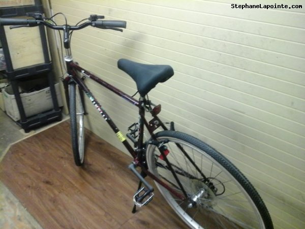 Vélo Minelli Promenade - StephaneLapointe.com