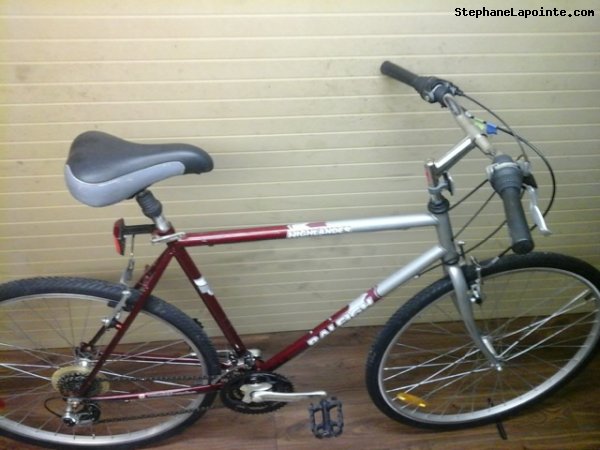 Vélo Raleigh Highlander - StephaneLapointe.com