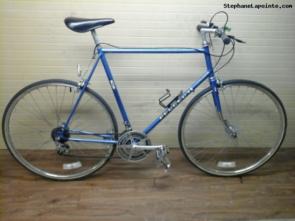 Vélo Peugeot Super Sport - StephaneLapointe.com