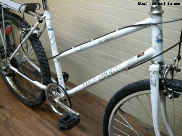 Vélo Velo Sport City Express - StephaneLapointe.com