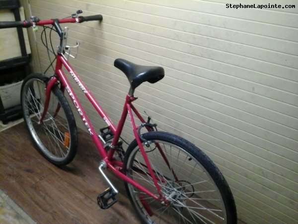 Vélo Sportek Pathfinder - StephaneLapointe.com