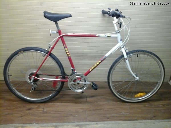 Vélo Leader LE6040 - StephaneLapointe.com