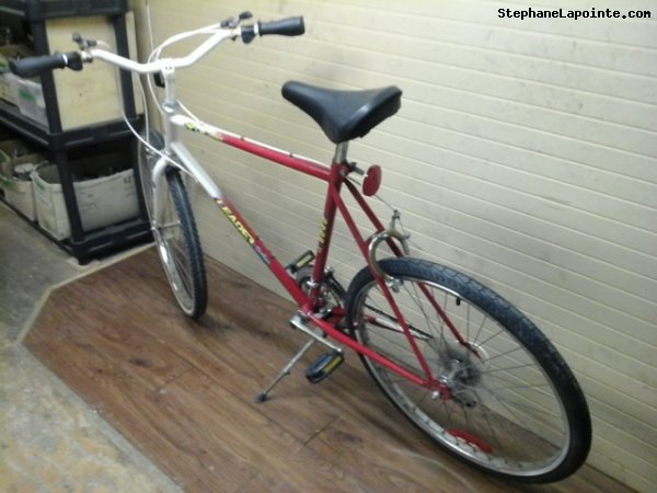Vélo Leader LE6040 - StephaneLapointe.com