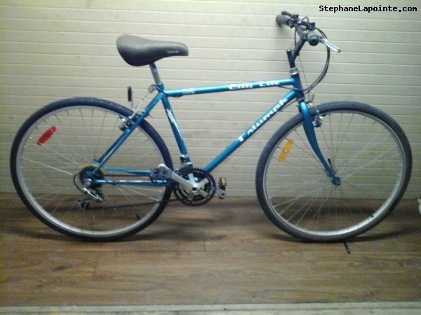 Vélo Triumph City Lite - StephaneLapointe.com