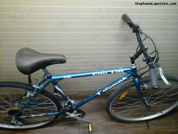 Vélo Triumph City Lite - StephaneLapointe.com