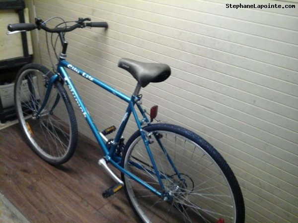 Vélo Triumph City Lite - StephaneLapointe.com