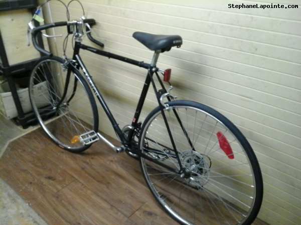 Vélo Raleigh Sceptre - StephaneLapointe.com