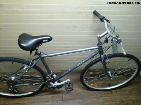 Vélo Minelli Promenade - StephaneLapointe.com