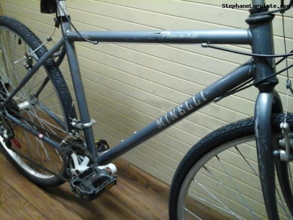 Vélo Minelli Promenade - StephaneLapointe.com
