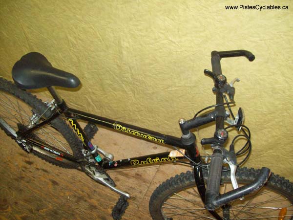Vélo Raleigh Discovery - StephaneLapointe.com