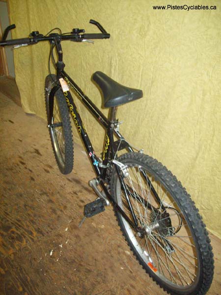 Vélo Raleigh Discovery - StephaneLapointe.com